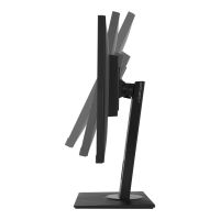 Vorschau: ASUS Monitor VA24DQLB