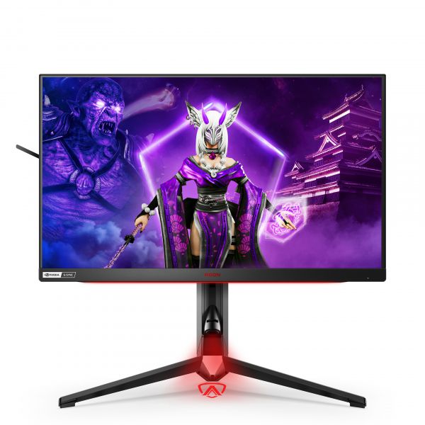 AOC AG254FG