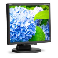 Vorschau: NEC MultiSync E172M