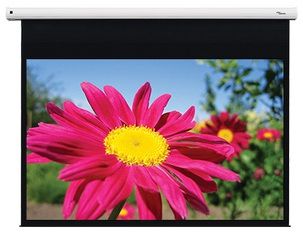 Optoma DE-1095EGA Projektionsleinwand 2,41 m (95 Zoll) 16:10