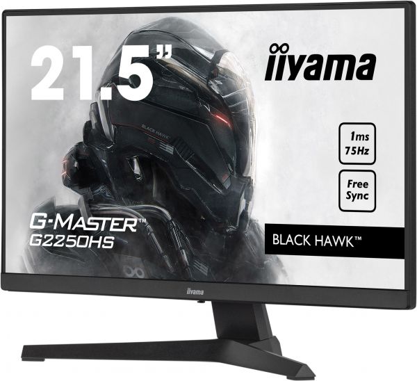 IIYAMA Monitor G2250HS-B1