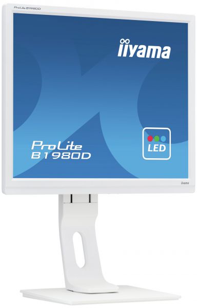 IIYAMA Monitor B1980D-W1