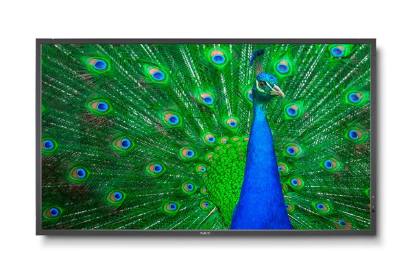 NEC Large Format Display C651Q