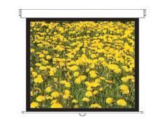 Optoma DS-3120PMG+ Projektionsleinwand 3,05 m (120 Zoll) 4:3