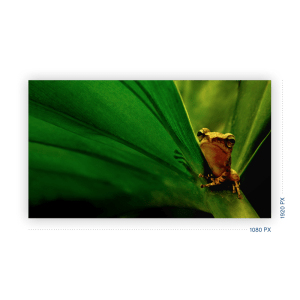 Full HD-Auflösung